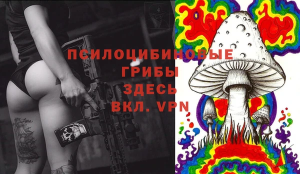 прущие крисы Верея