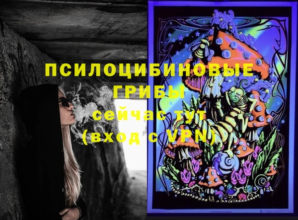 не бодяженный Володарск