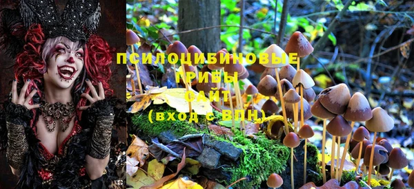 прущие крисы Верея