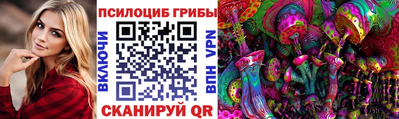 Псилоцибиновые грибы Psilocybine cubensis  Карачев 