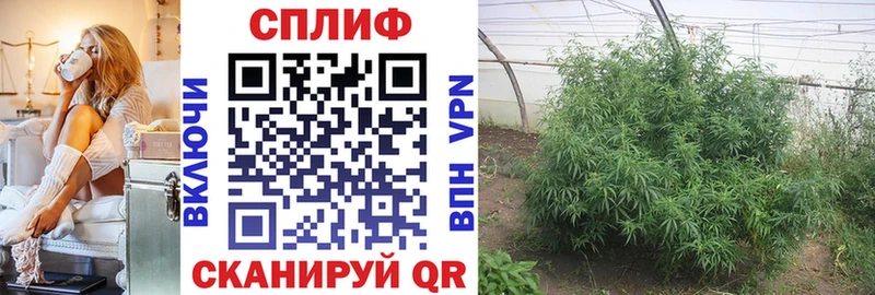 МАРИХУАНА Amnesia  купить наркотик  blacksprut зеркало  Карачев 